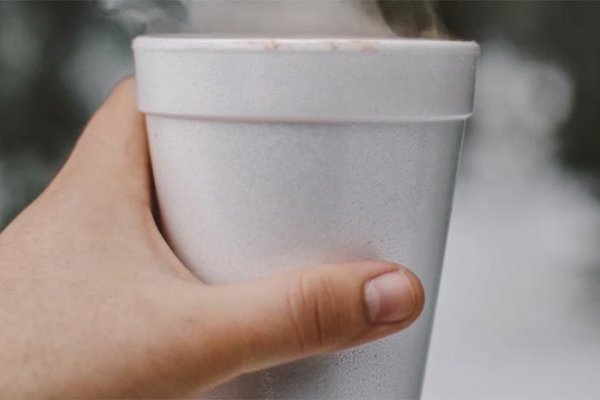 Article Recycler le plastique numéro 6 : c'est possible sur Novae